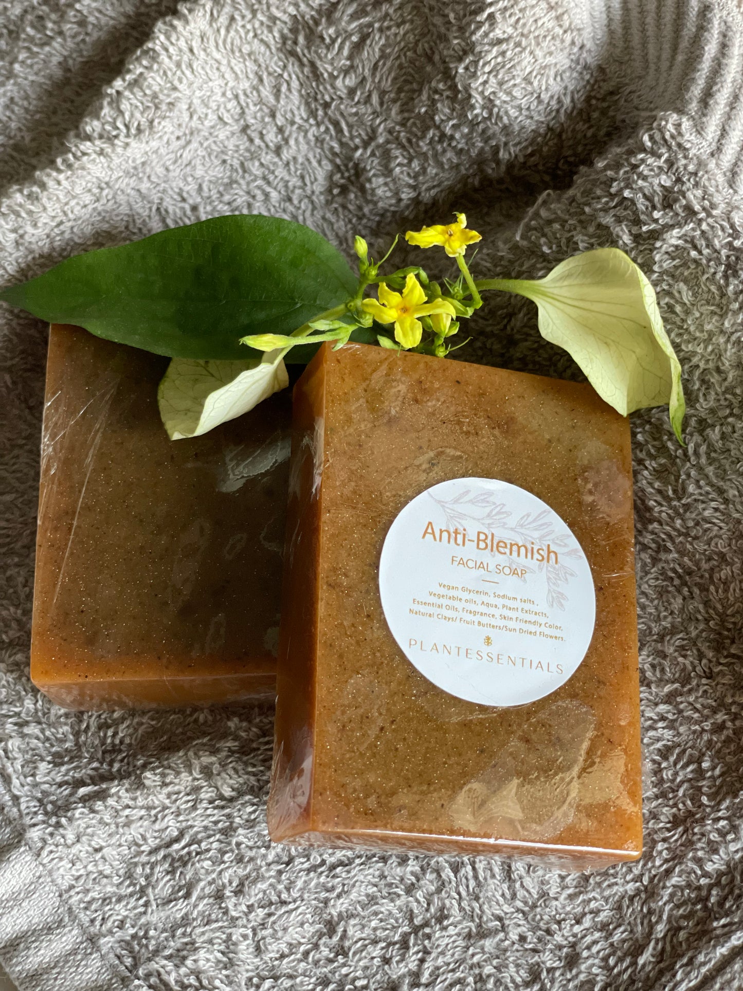 Anti Blemish Facial Soap