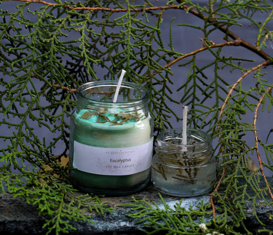 Eucalyptus Candles