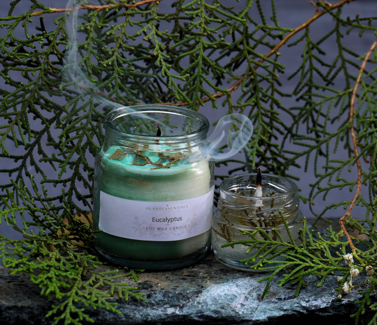 Eucalyptus Candles